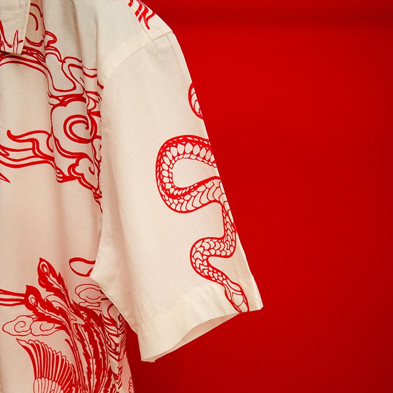 dragon-shirt-sleeve-image